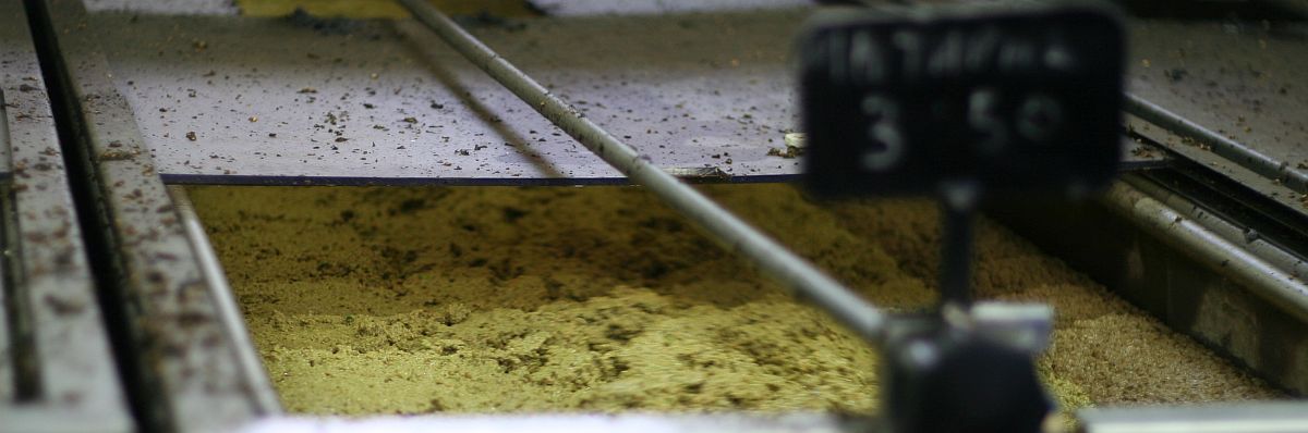 Vom Olivensack zum Edelstahltank – wie eine moderne Ölmühle  funktioniert