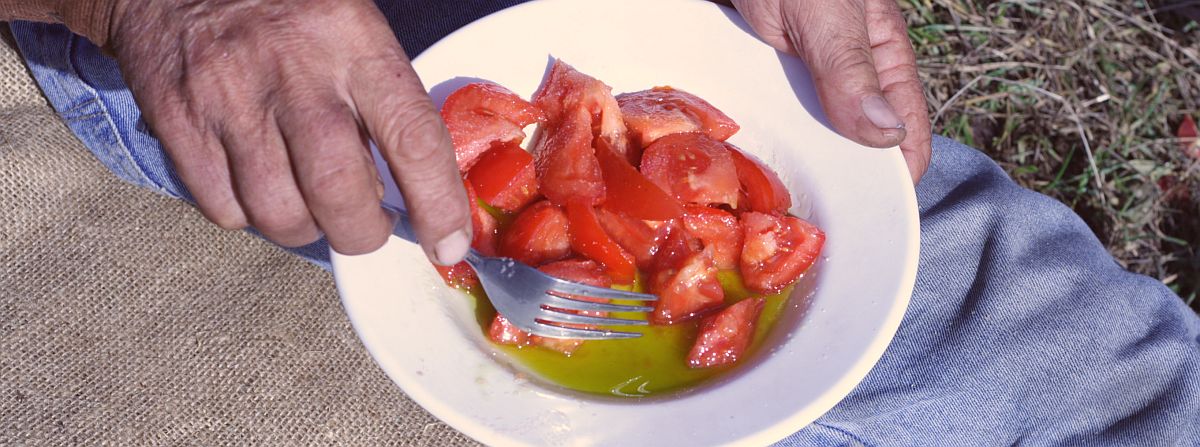 Warum ist die Jahrgangsangabe beim Olivenöl so wichtig?