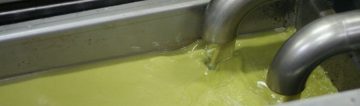 Warum kann man Chips essen ohne Ende und wird doch nicht satt – weil das Sättigungsgefühl fehlt!